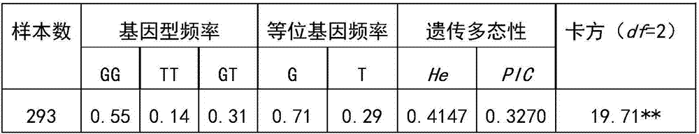 SNP molecular marker related to reproductive characters of Chinese Holstein cow and applications of SNP molecular marker