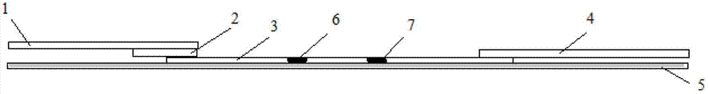 Test strip for quickly detecting porcine circovirus 2 (PCV2) antibody by adopting colloidal gold