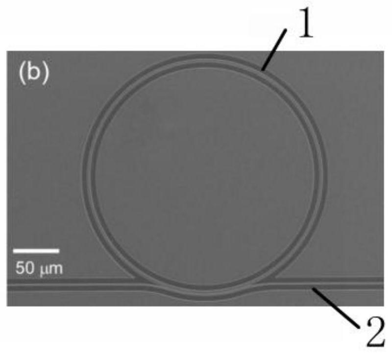 Self-generating system and method of soliton frequency comb based on negative thermo-optic coefficient chalcogenide microcavity