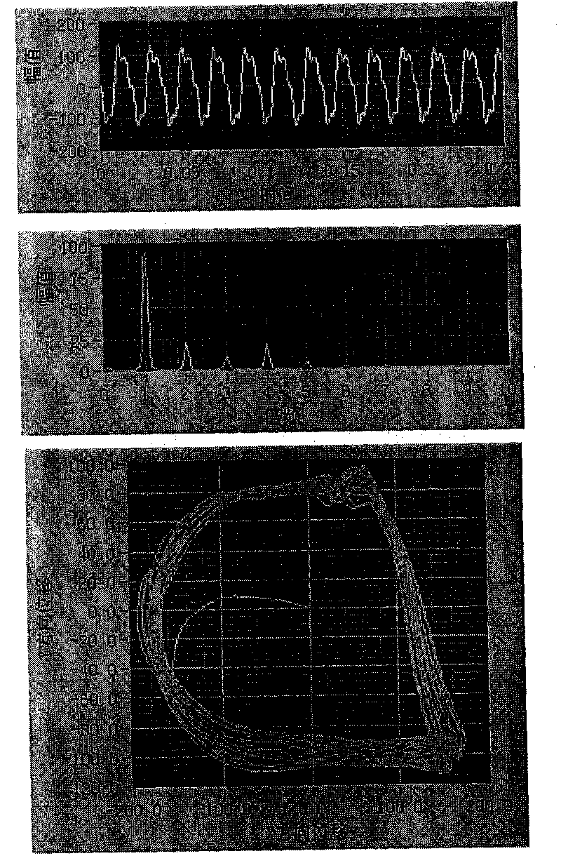 Rotor rubbing test device