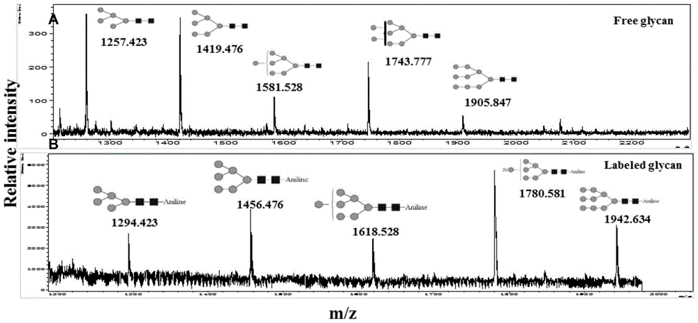 A Method for Relatively Quantitative Analysis of Sugar Chains Labeled at Both Ends