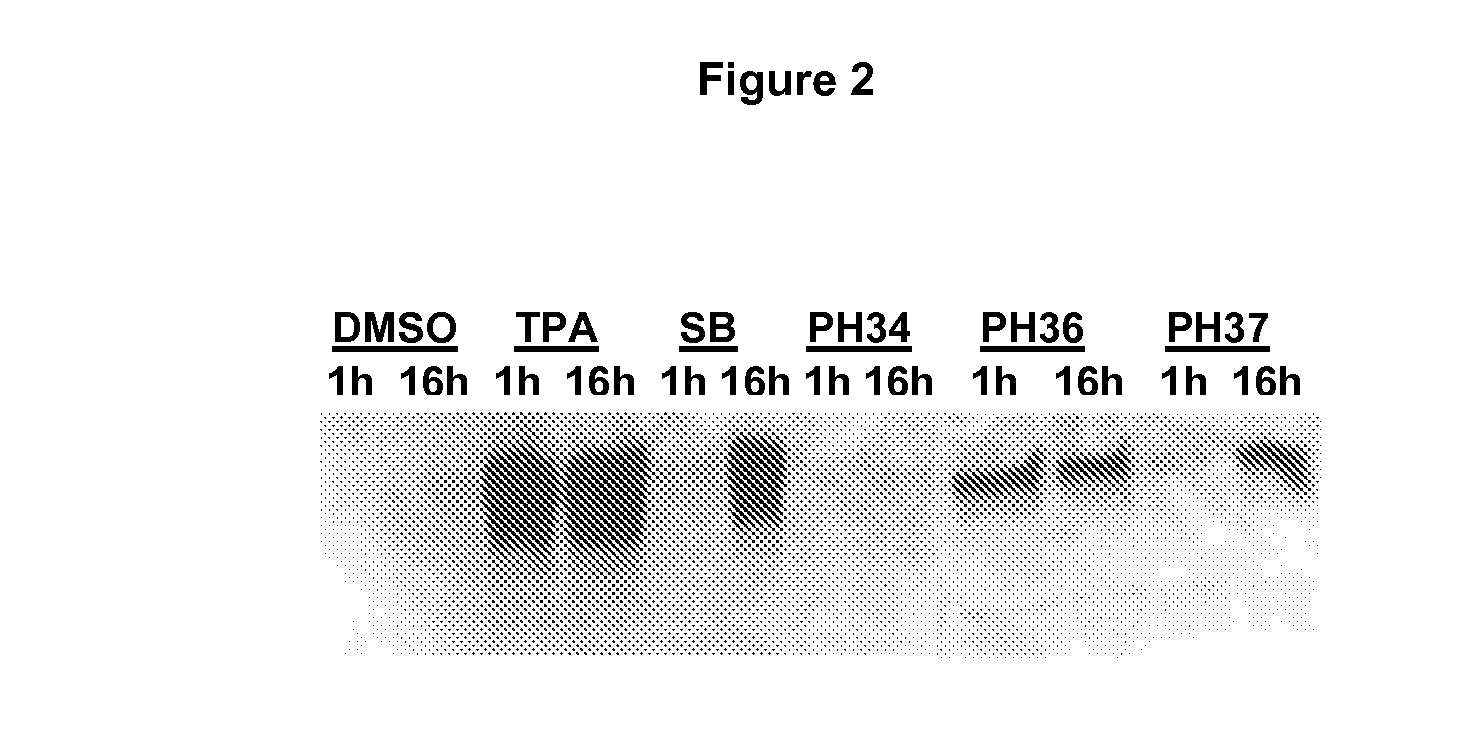 Methods, Compounds and Compositions Relating to Activating a Latent Virus