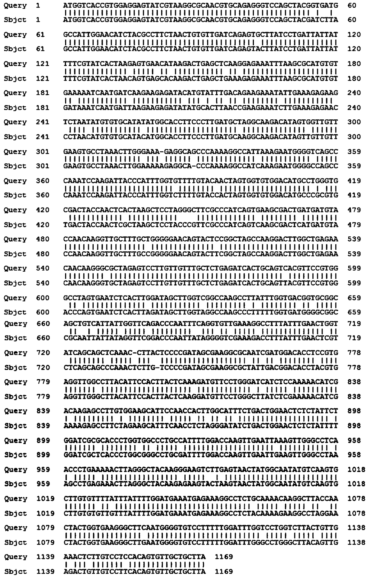 Eggplant chalcone synthase smchs1 protein and its encoding gene