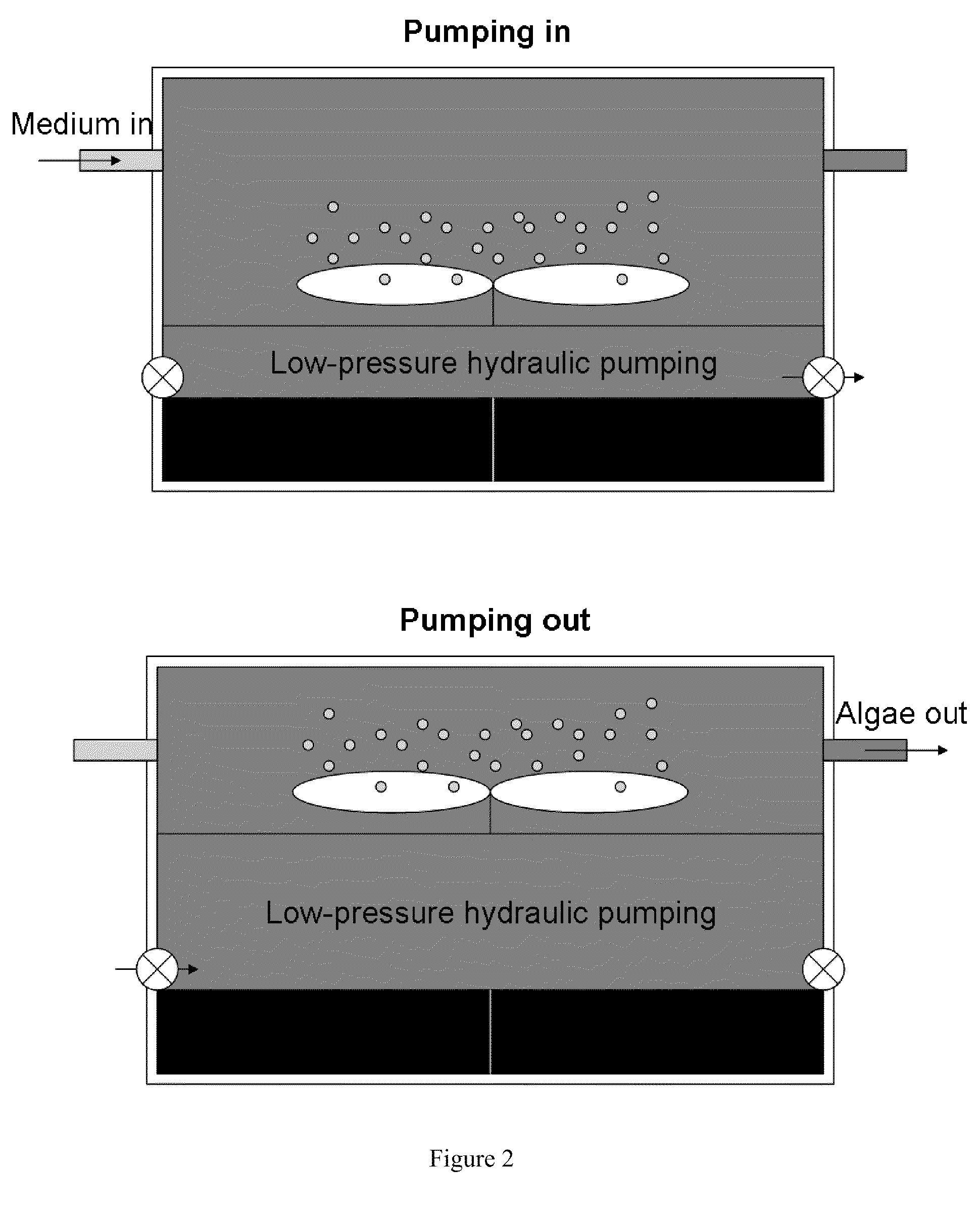 Photobioreactor Systems and Methods for Growing Organisms