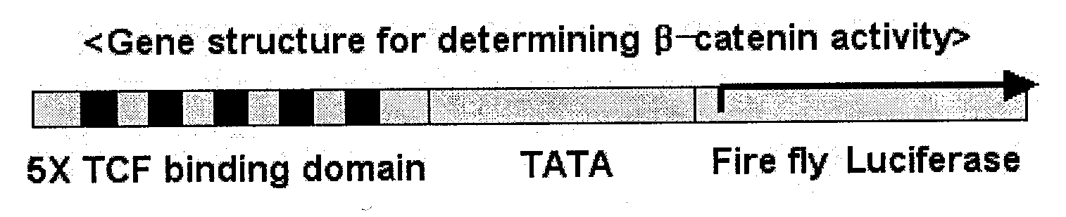 Isoxazole Derivatives and Use Thereof