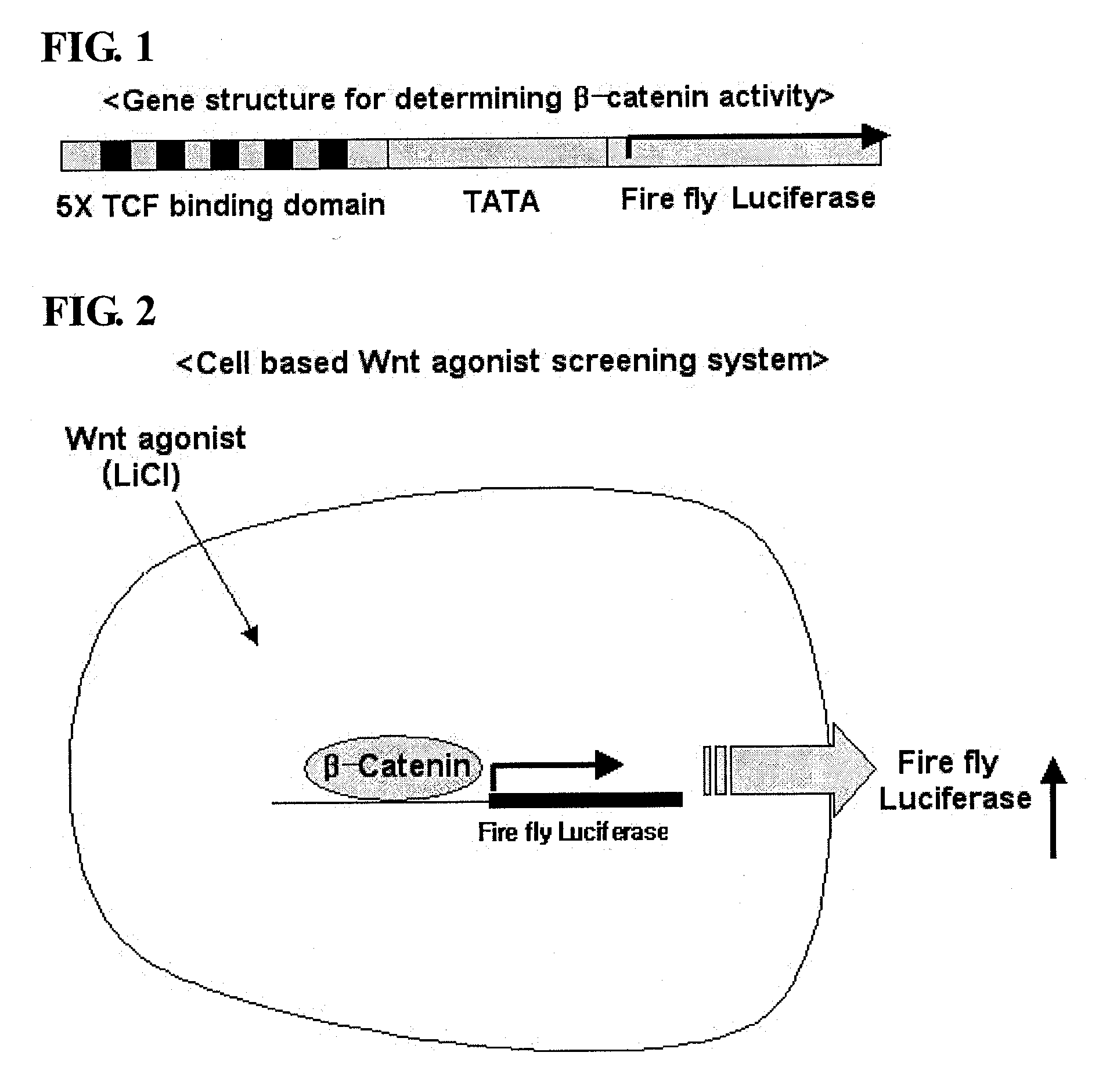 Isoxazole Derivatives and Use Thereof