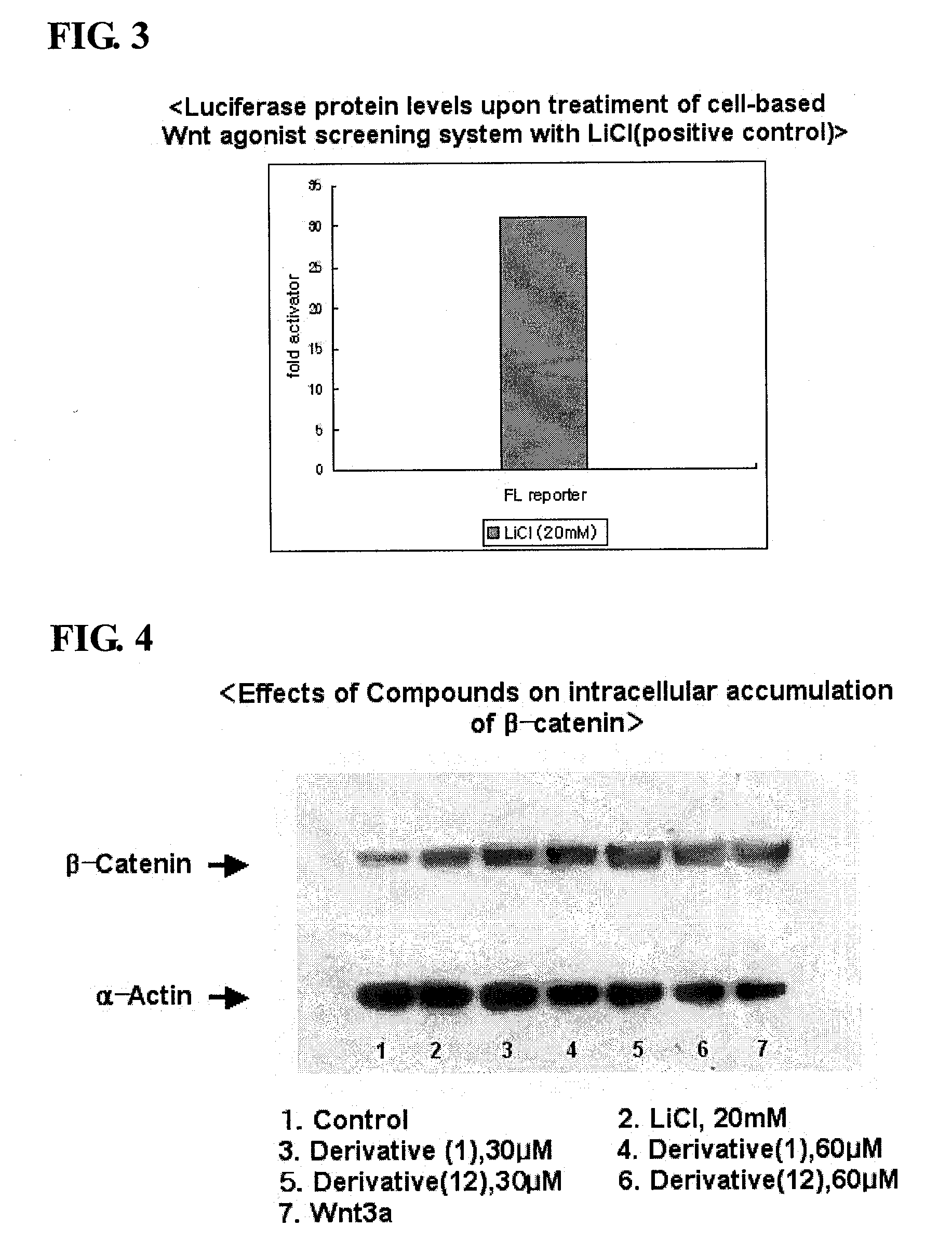 Isoxazole Derivatives and Use Thereof