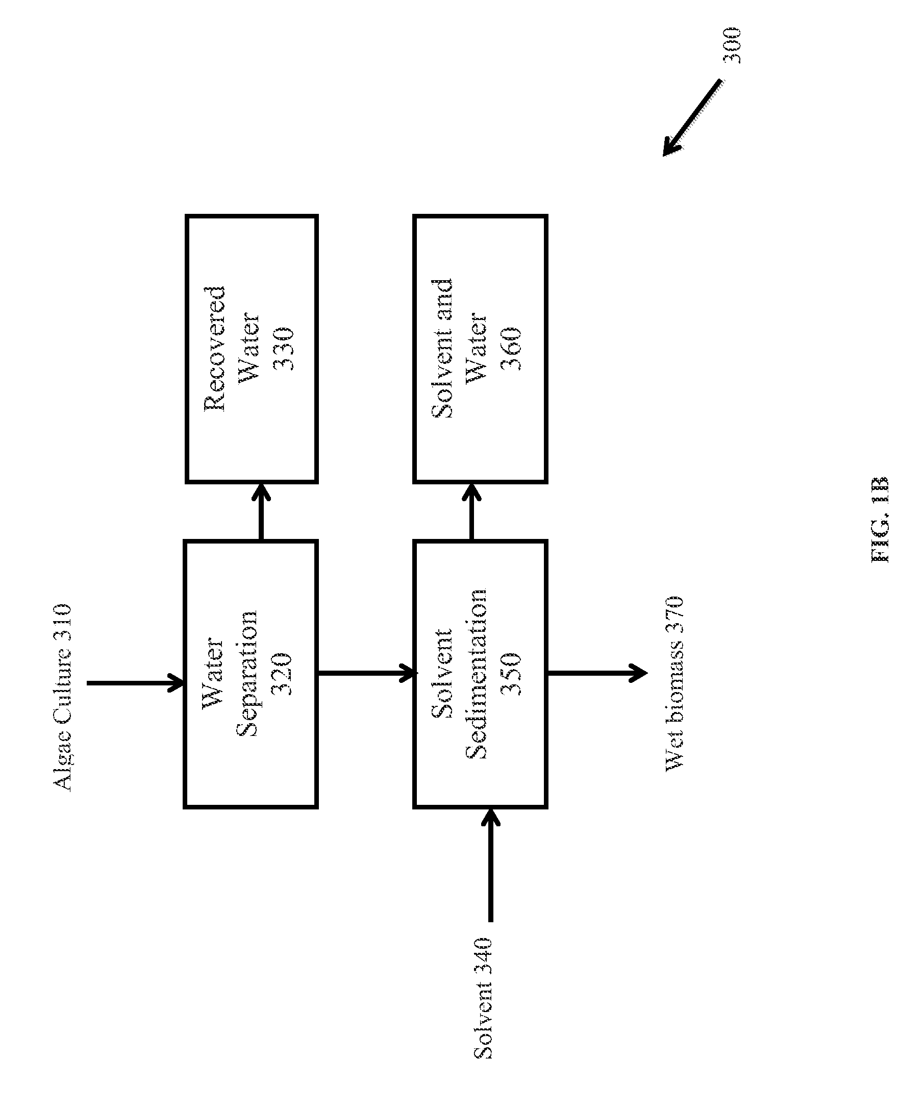 Extraction of neutral lipids by a two solvent method