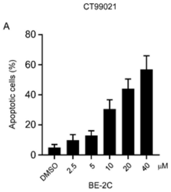 Small molecule composition and application thereof in preparation of medicine for treating neuroblastoma