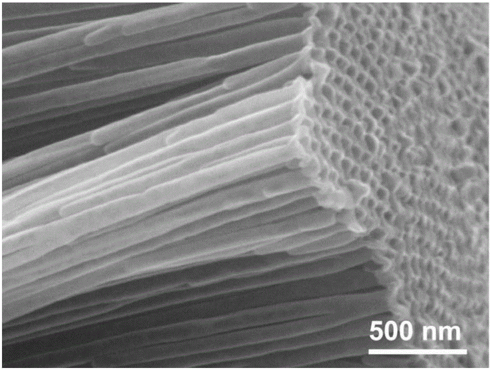 An in situ preparation of superparamagnetic Fe by atomic layer deposition  <sub>3</sub> o  <sub>4</sub>  nanotube array method