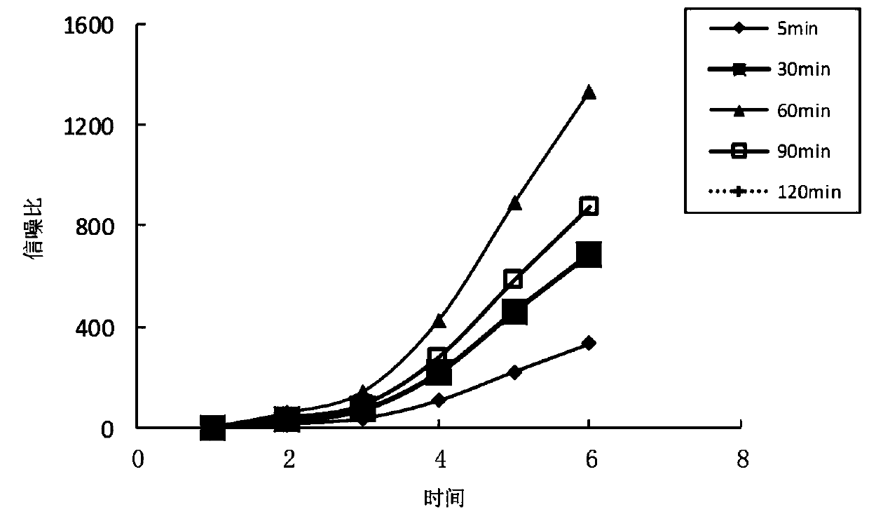 Method for coating mycoplasma pneumoniae membrane protein antigens with magnetic beads