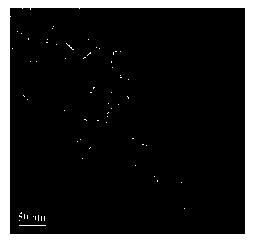 Method for preparing MnZn ferrite