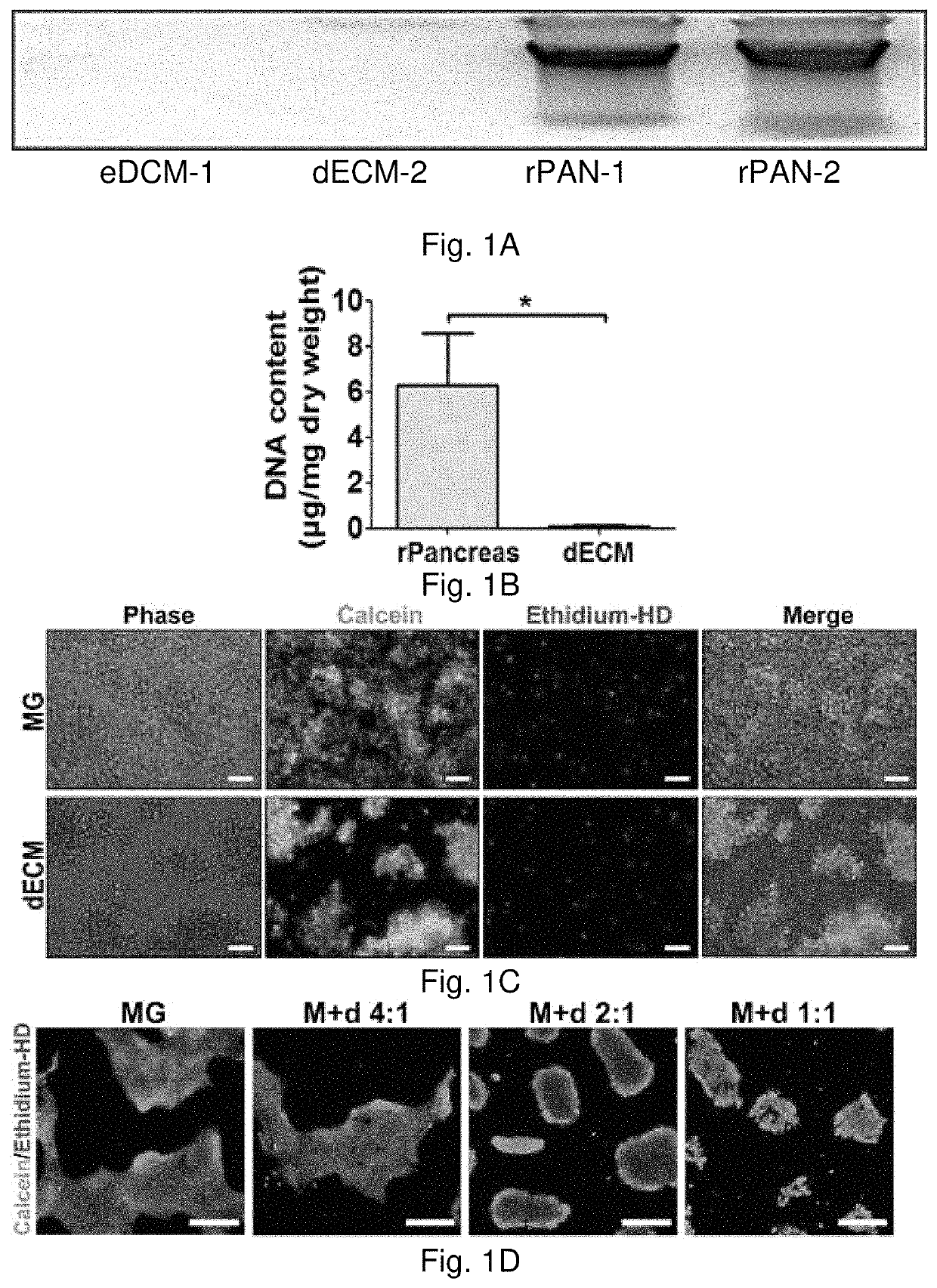 Microenvironments for self-assembly of islet organoids from stem cells differentiation