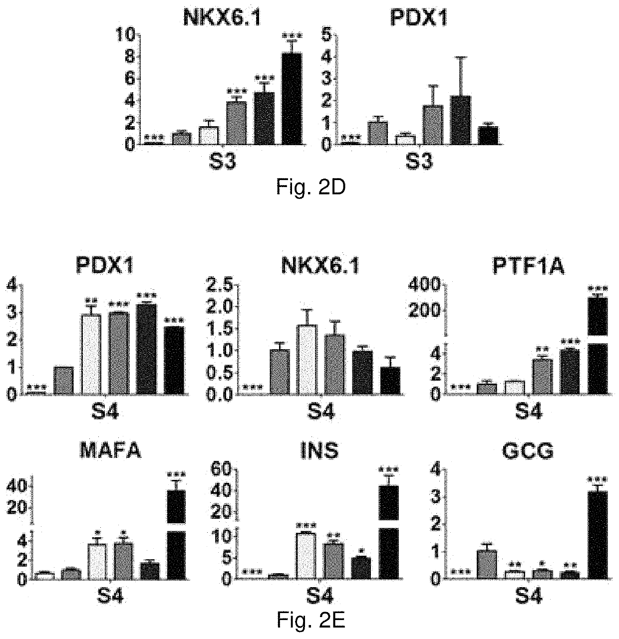 Microenvironments for self-assembly of islet organoids from stem cells differentiation