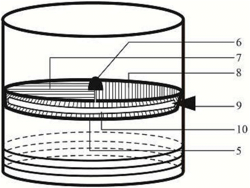 Field multifunctional insect detaining and collecting test tube device