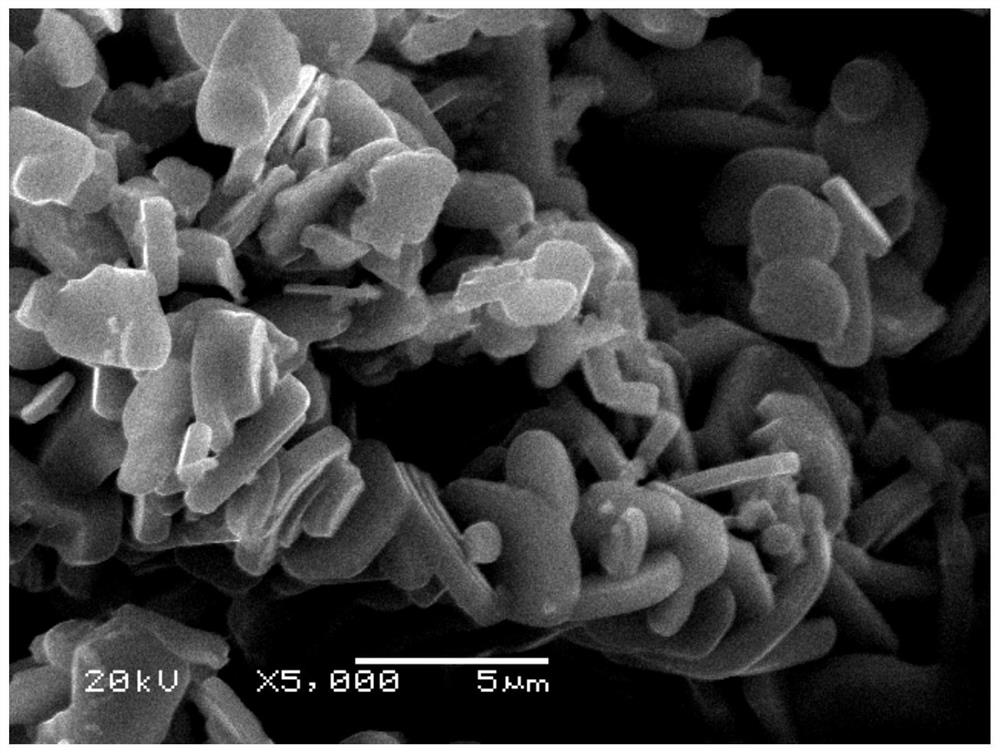 A diverse positive material and preparation method of a sodium ion battery