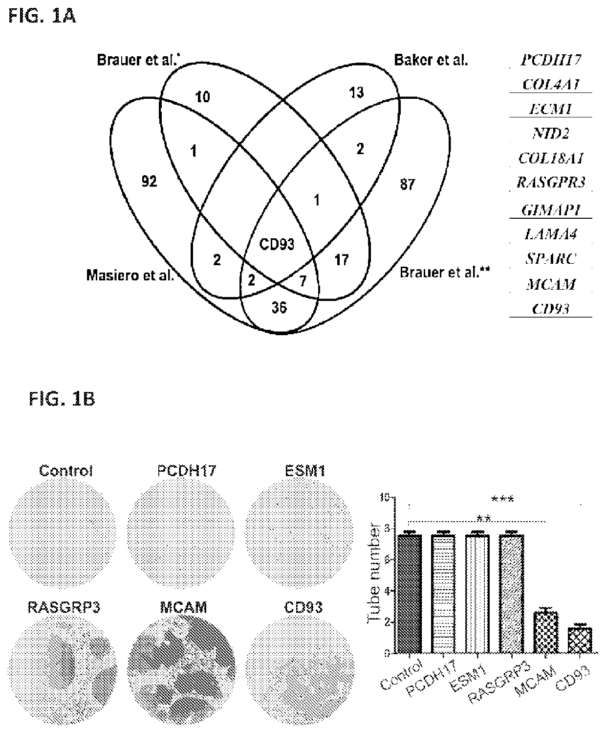 Methods and compositions for treating a disease or disorder