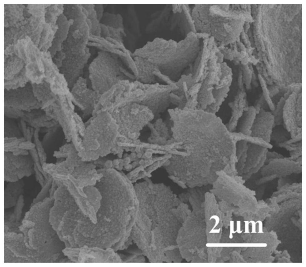 A gold-modified porous tin dioxide micro-nano sheet composite material and its preparation method and application