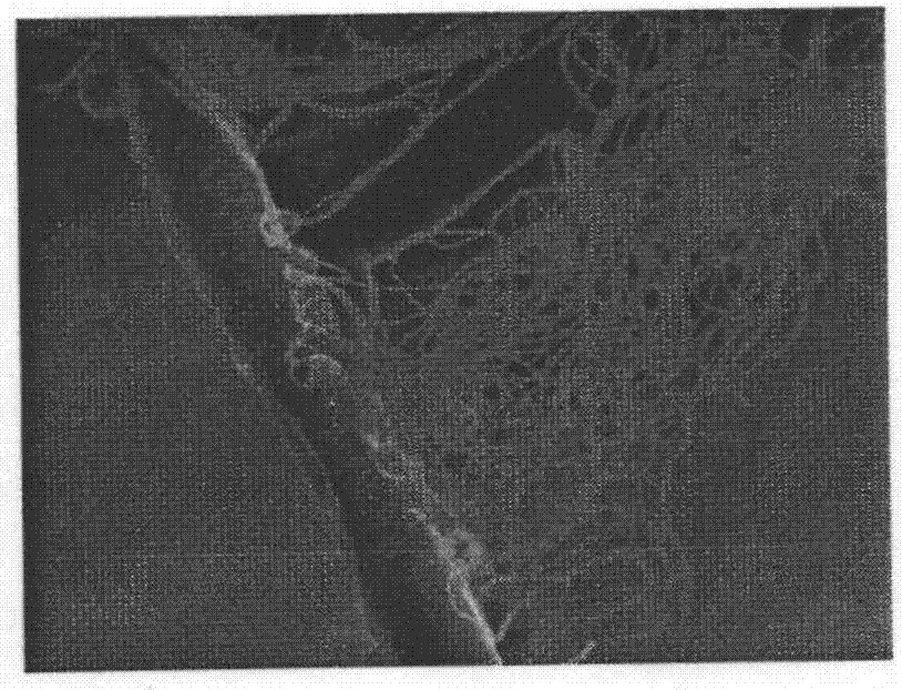 Ultra-light aerogel heat insulation material with waterproof and moisture permeation functions and preparation method thereof