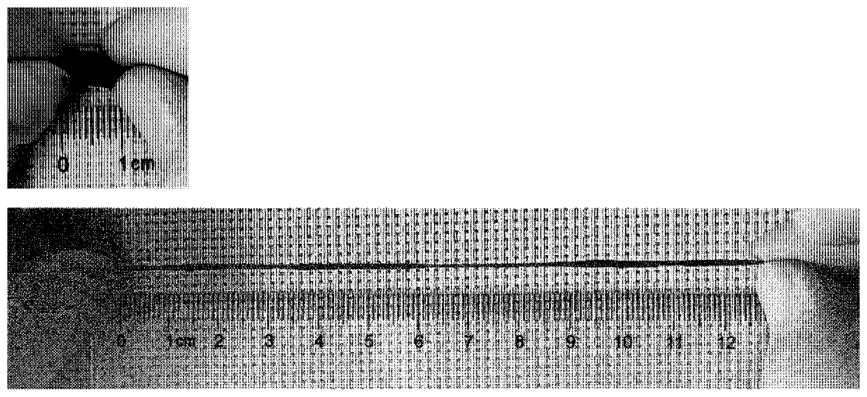 Multifunctional specific biological bonding hydrogel as well as preparation method and application thereof