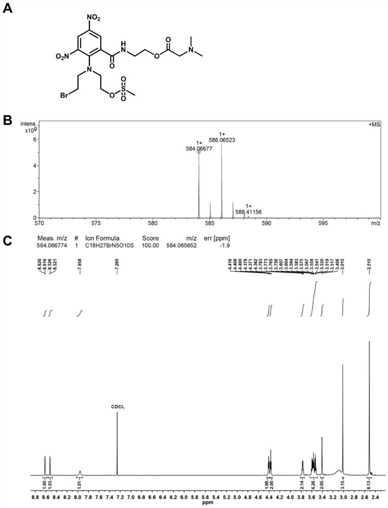 Drug delivery system of combining blood vessel blocking agent and double-drug-loading bionic liposome