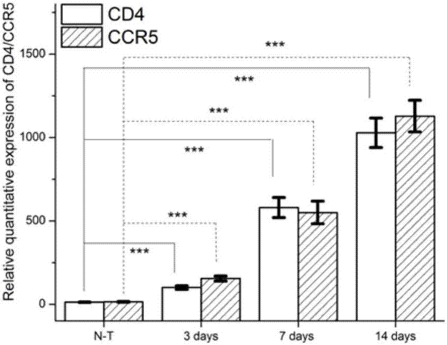 Mouse cell L1210-based HIV-1 infectible host cell