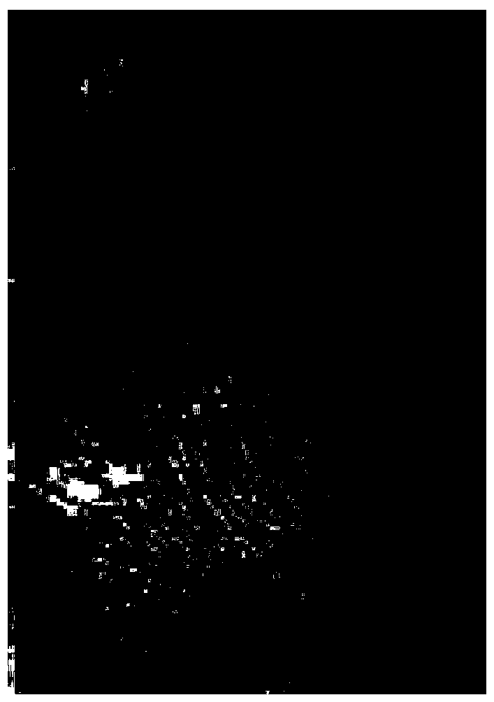 A kind of preparation method of core-shell structure latent fingerprint revealing powder