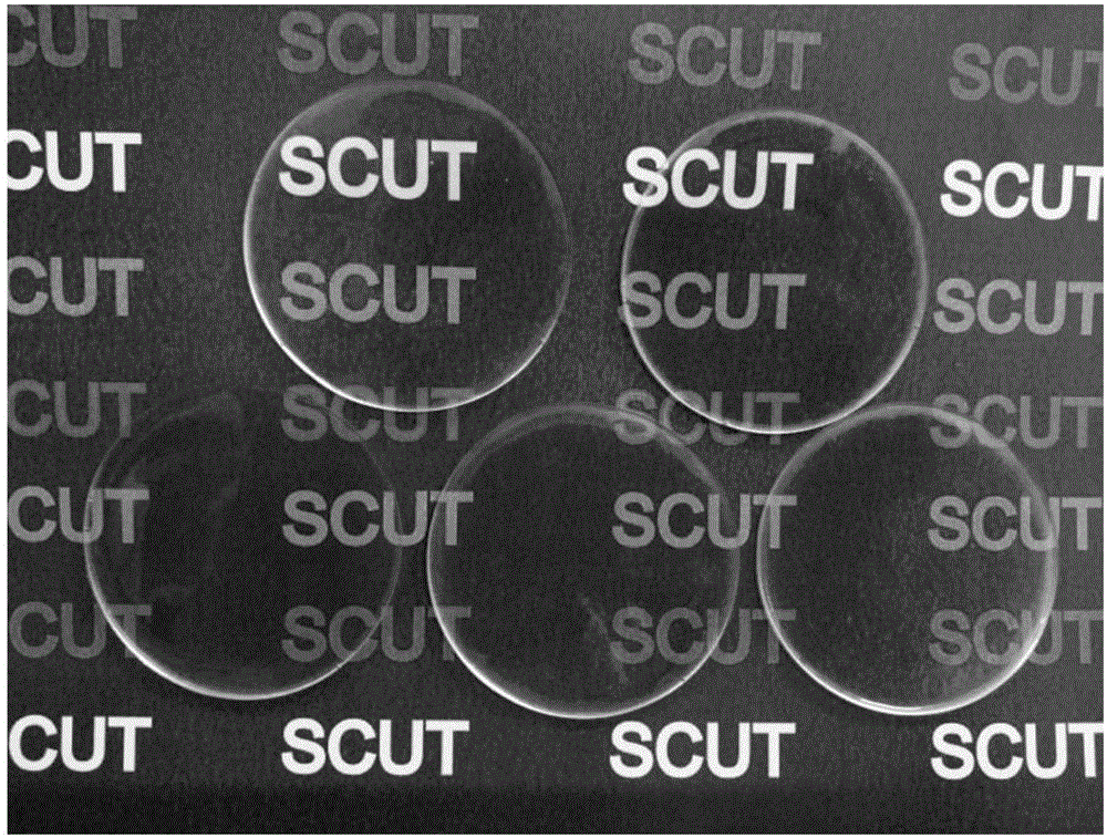 Application of polymerizable deep-eutectic solvents to preparing transparent conductive elastomers