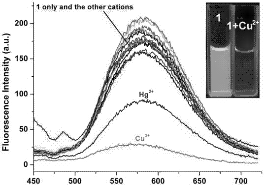 Fluorescent probe based on pyrrole-cumarin dihydrazone derivatives as well as preparation method and application of fluorescent probe