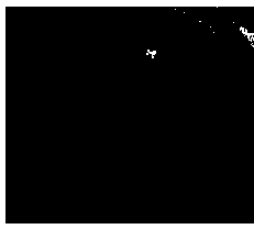 Production method of high-ring-opening-rate lovastatin