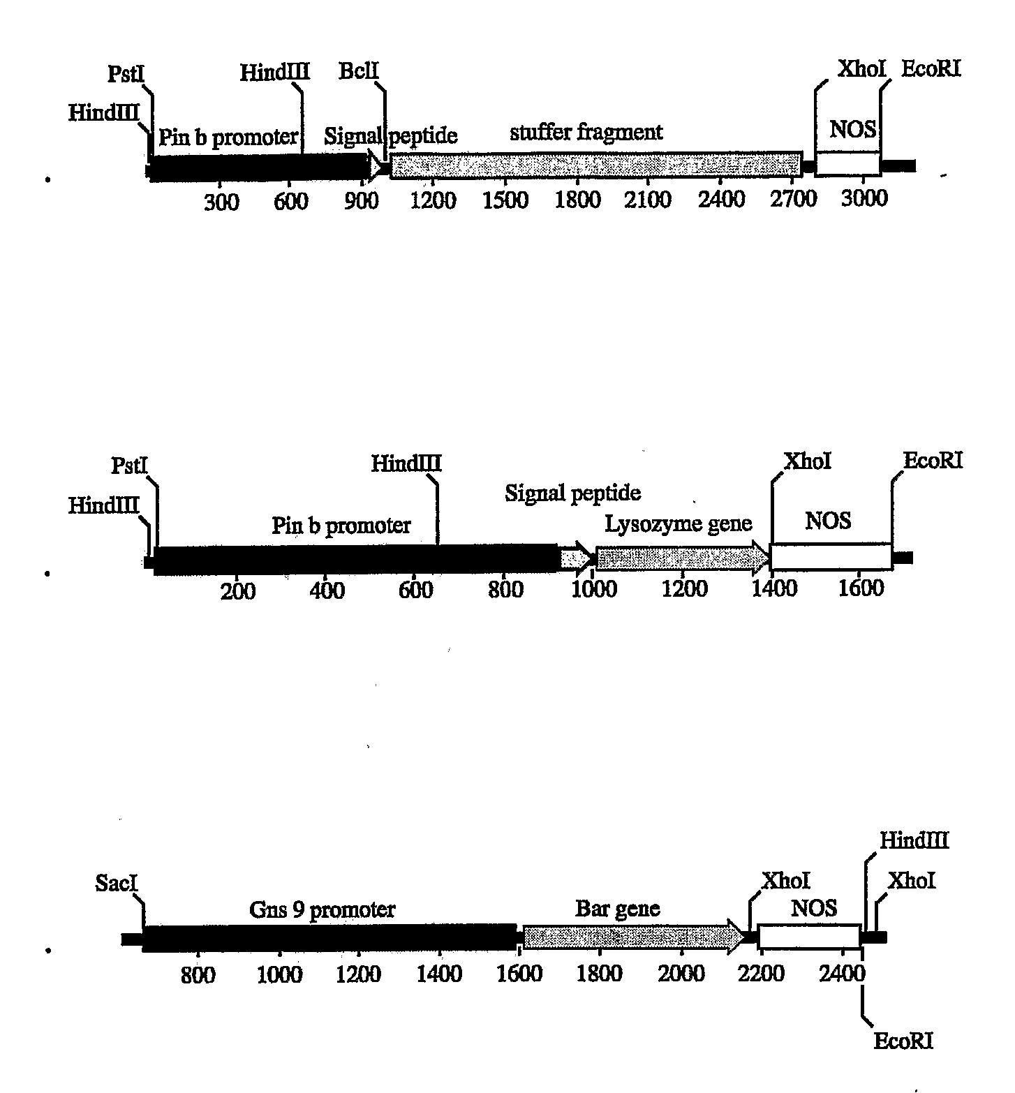 Methods of Expressing Heterologous Protein in Plant Seeds Using Monocot Non Seed-Storage Protein Promoters