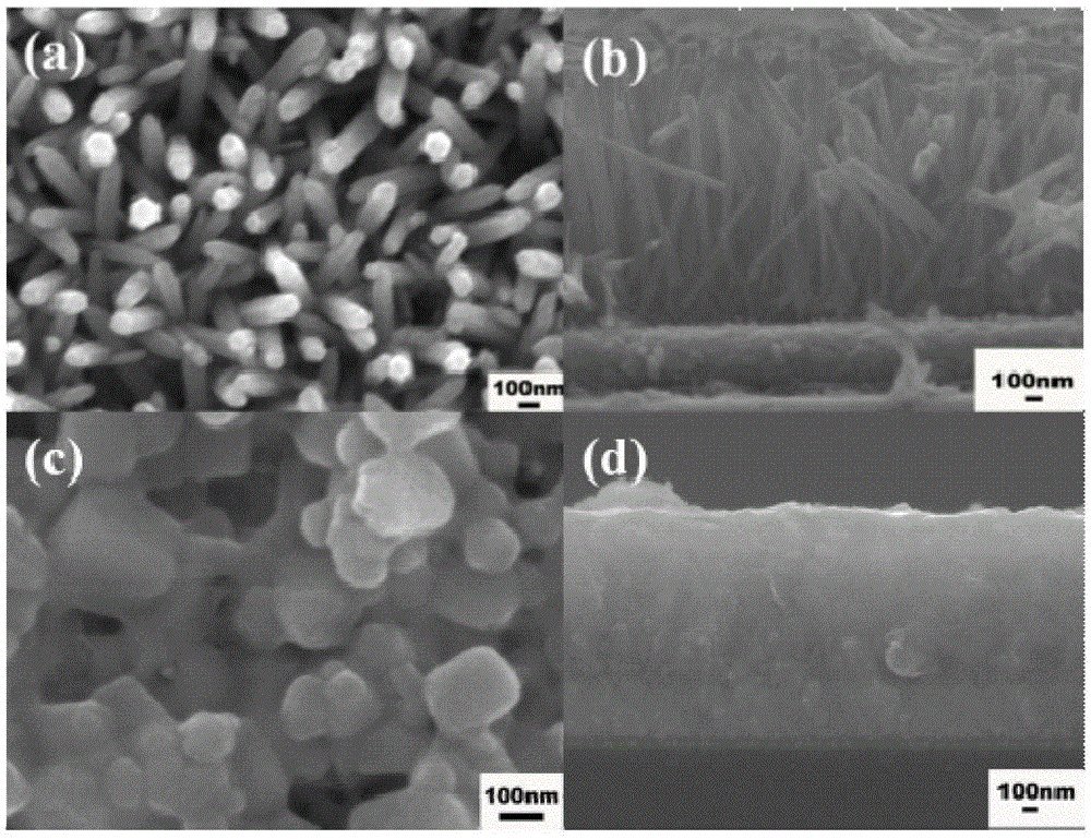 Self-driven photodetector based on ZnO nanorod/CH3NH3PbI3/MoO3 structure and preparation method thereof