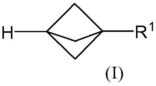 Propellane derivates and synthesis