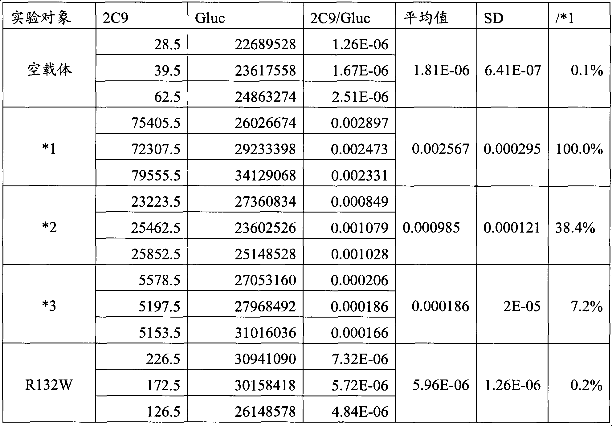 CYP2C9 gene segment comprising 394C&gt;T, coded protein segment and application thereof