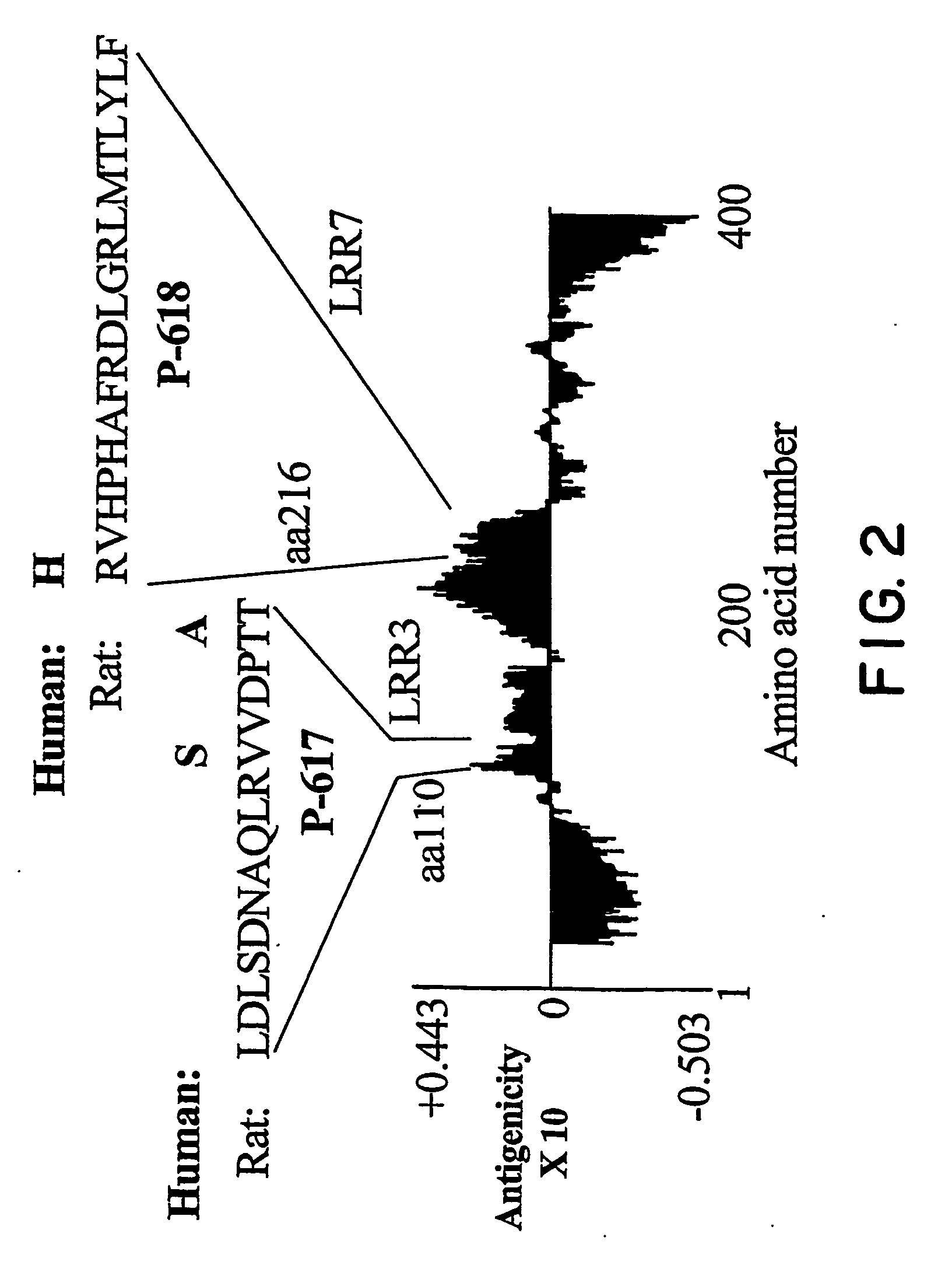 Nogo Receptor Antagonists