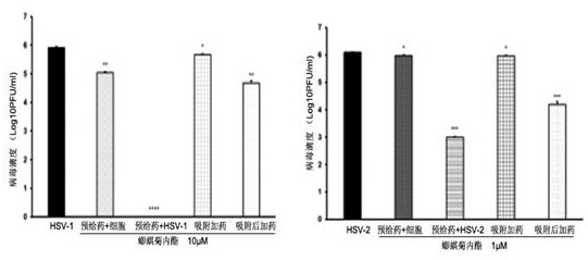 Application of wedelolactone in preparation of medicine and health care product for preventing and/or treating herpes virus infection