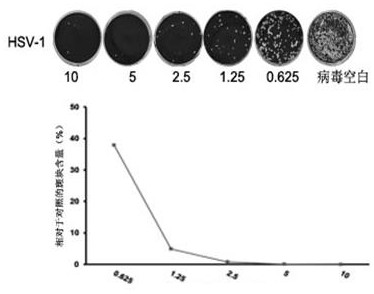 Application of wedelolactone in preparation of medicine and health care product for preventing and/or treating herpes virus infection