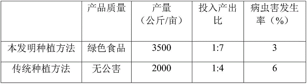 High-yield planting method of eriobotrya japonica