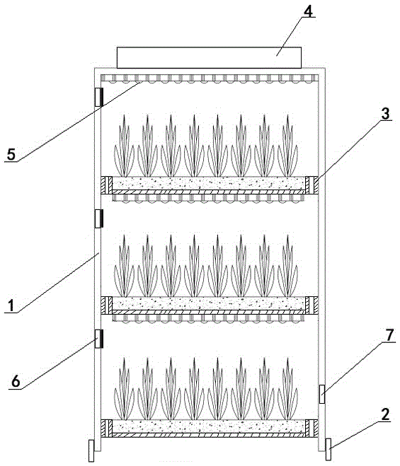 Full-automatic pollution-free vegetable planting box