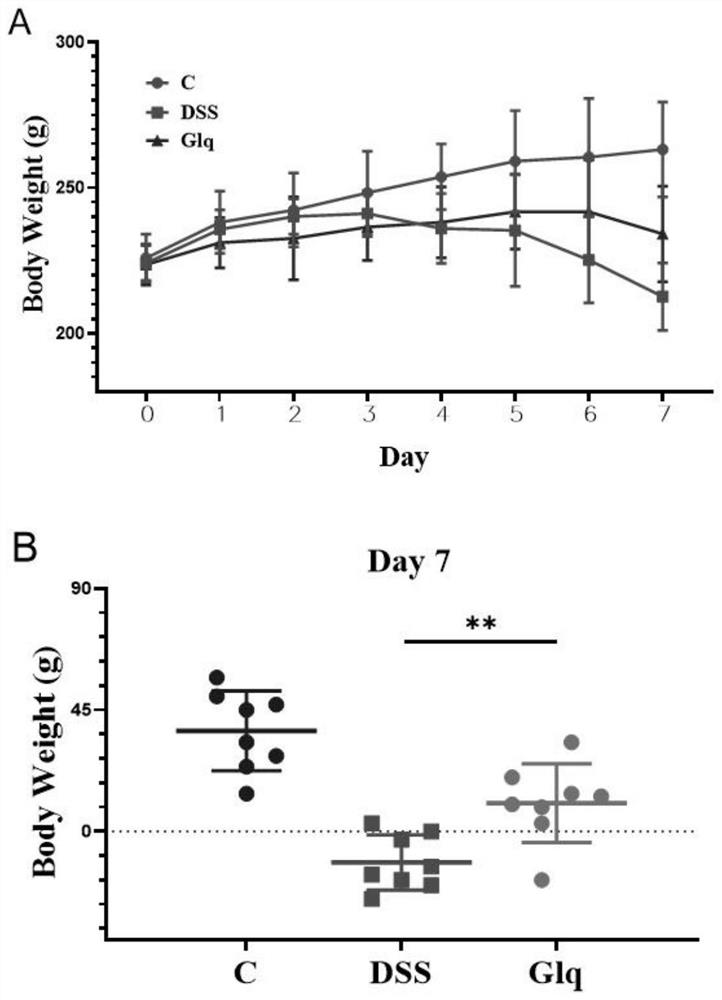 Application of gliquidone in preparation of medicine for treating ulcerative colitis