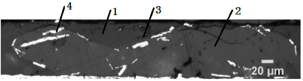 Powder coating with effect of color changing along with angle and preparation method thereof