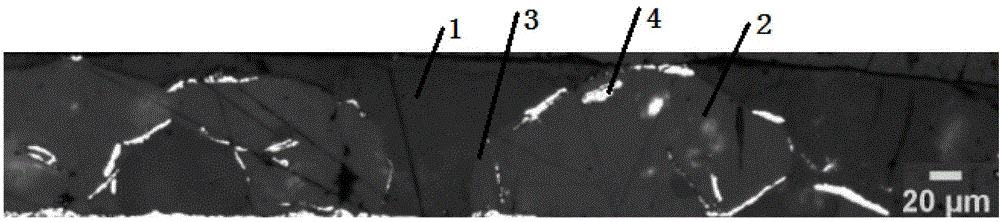 Powder coating with effect of color changing along with angle and preparation method thereof