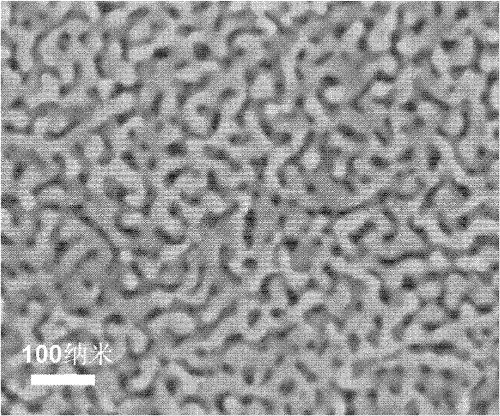 Photoelectrode material of nanometer porous metal load semiconductor and preparation method thereof