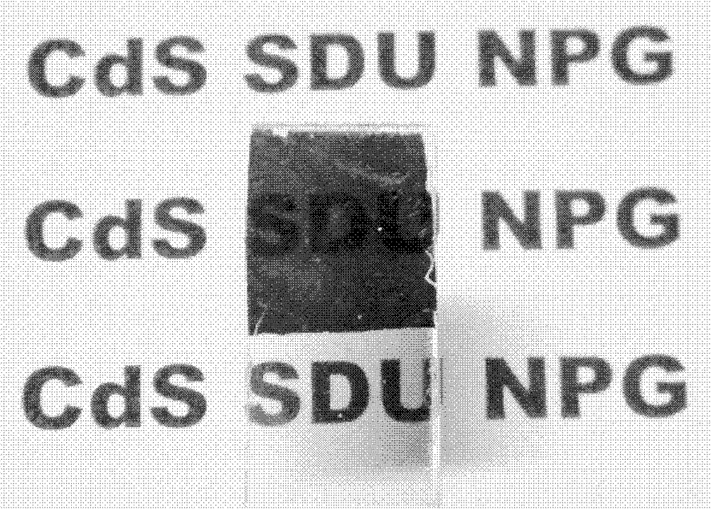 Photoelectrode material of nanometer porous metal load semiconductor and preparation method thereof