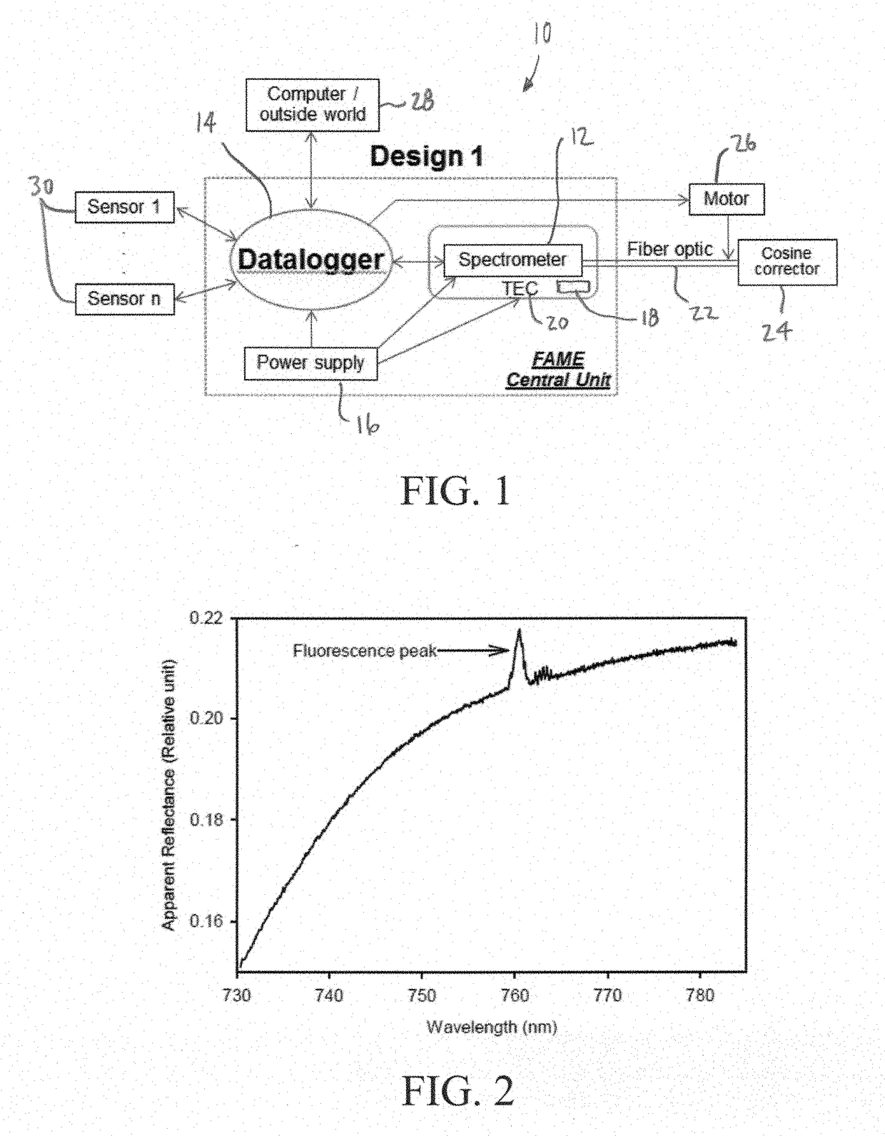 System and method for measuring sun-induced chlorophyll fluorescence