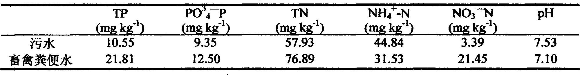 Method for repairing phosphorus polluted water body by using polygonum hydropiper