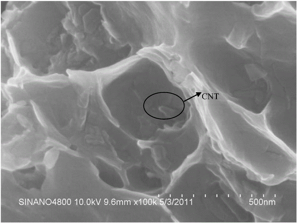 Carbon Nanotube Reinforced Aluminum Matrix Composite