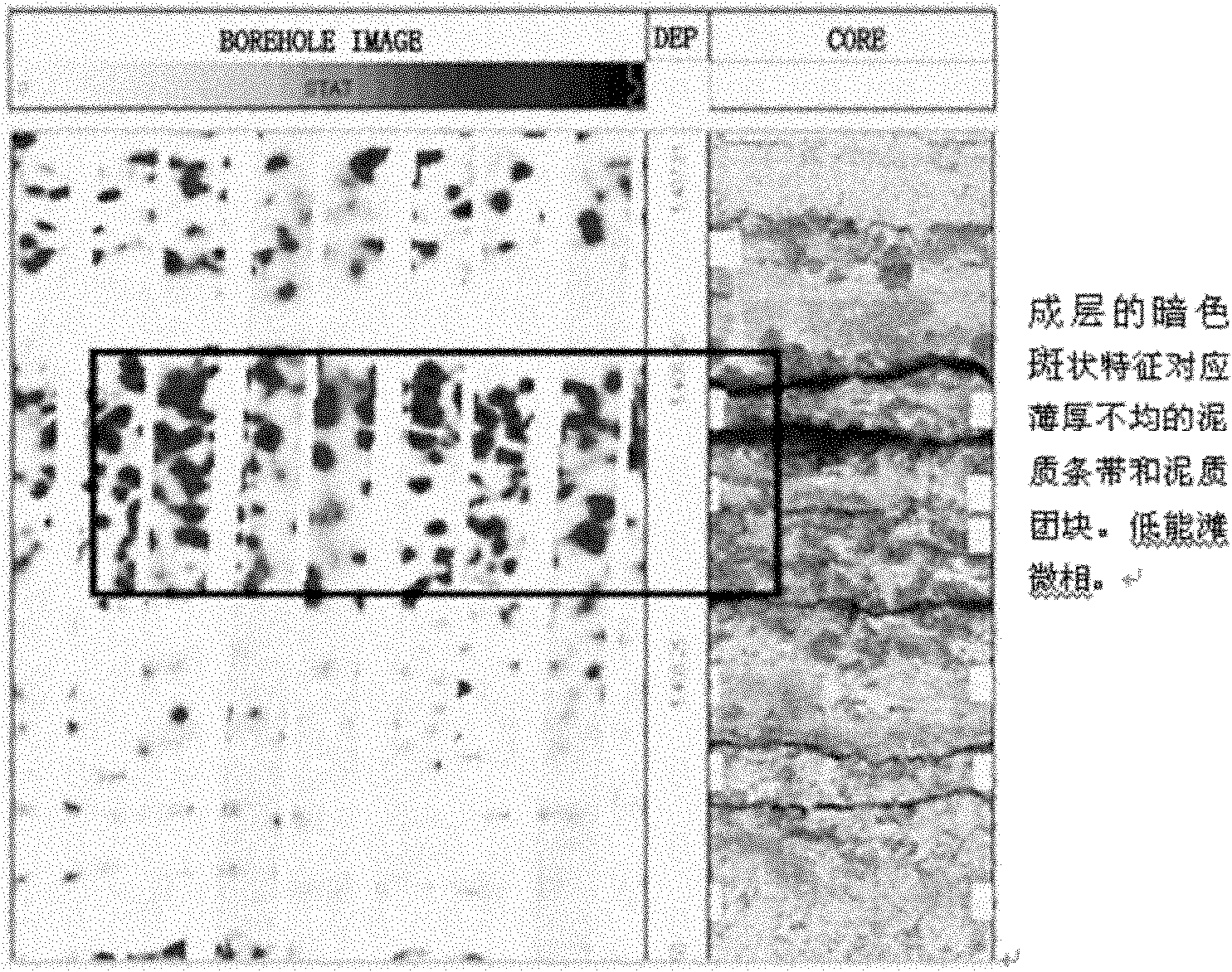 Method for identifying reservoir by combining electrical imaging and reef geologic model