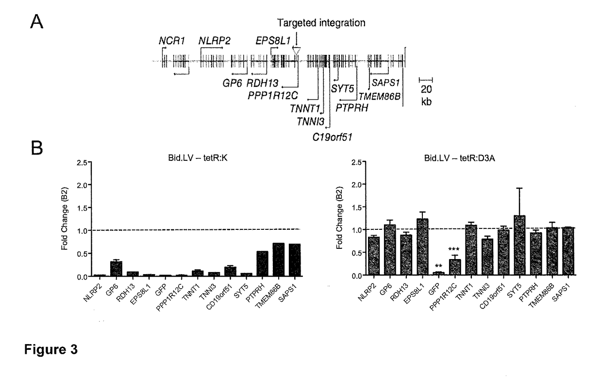 Permanent Epigenetic Gene Silencing