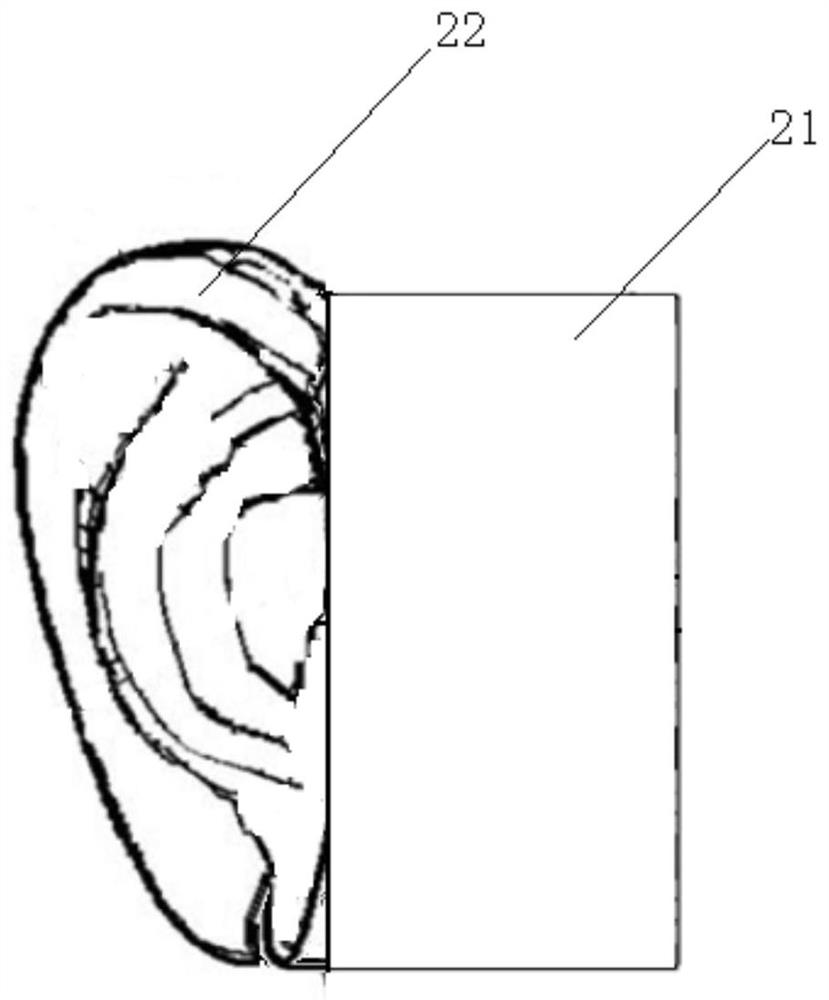 Bionic microphone pickup device and bionic spatial audio algorithm based on same